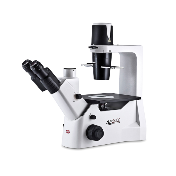 Microscopio biológico de platina invertida MOTIC serie AE2000